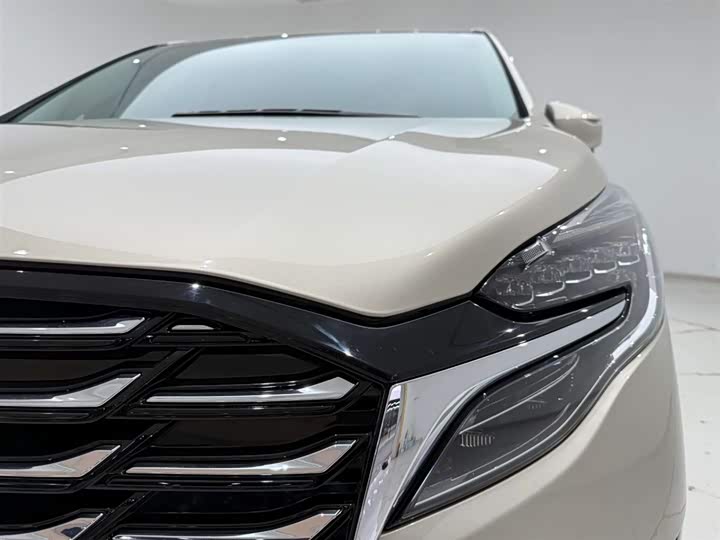 Фото 2 - Buick GL8 ES