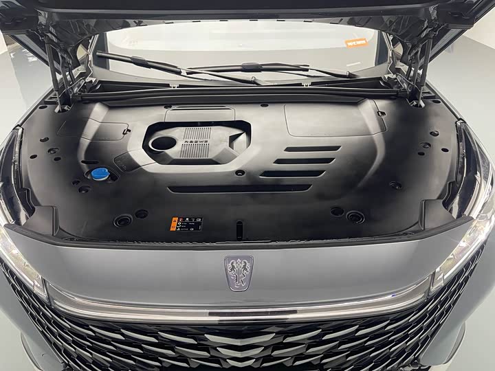 Фото 8 - Roewe RX5 Hybrid