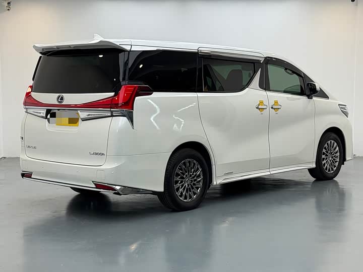 Фото 6 - Lexus LM