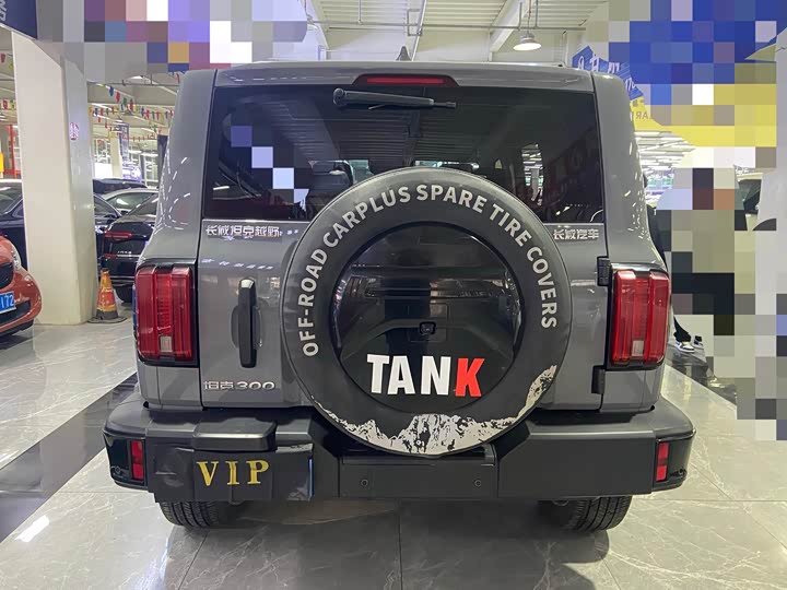 Фото 4 - Tank 300