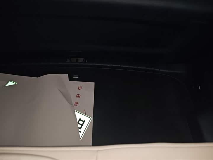 Фото 4 - Zeekr Mix