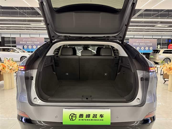 Фото 9 - XPeng G6