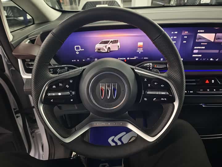 Фото 9 - Buick GL8 Century