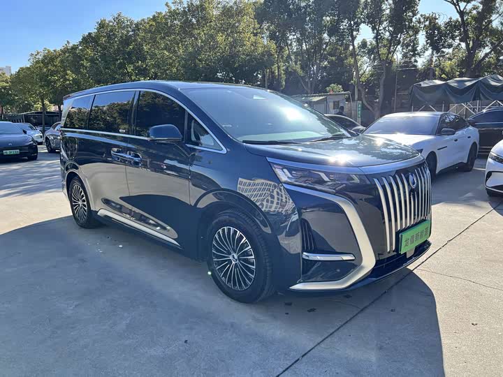 Фото 3 - Denza D9