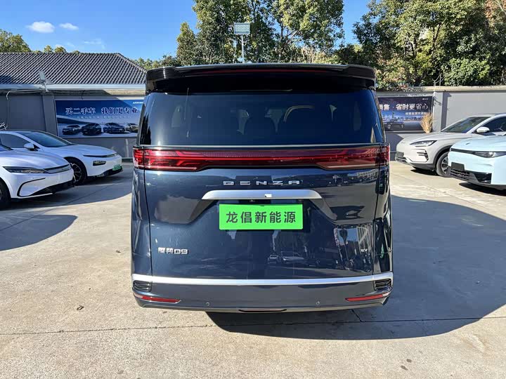 Фото 4 - Denza D9