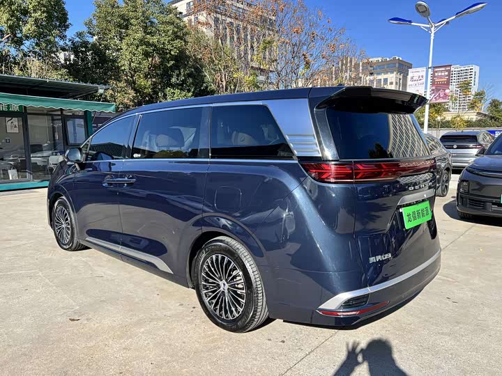 Фото 5 - Denza D9