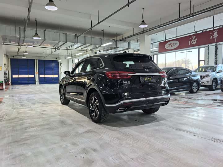 Фото 9 - Hongqi HS5