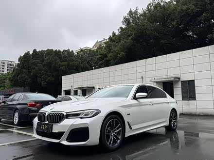 Фото 1 - BMW 5 Series Hybrid