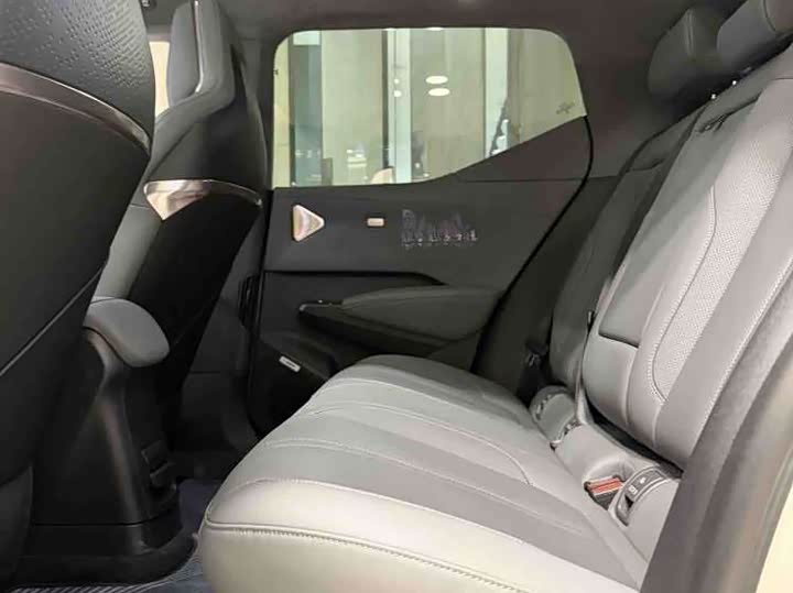 Фото 6 - Zeekr X