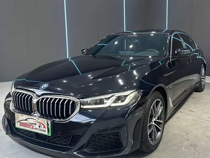 Фото 1 - BMW 5 Series Hybrid