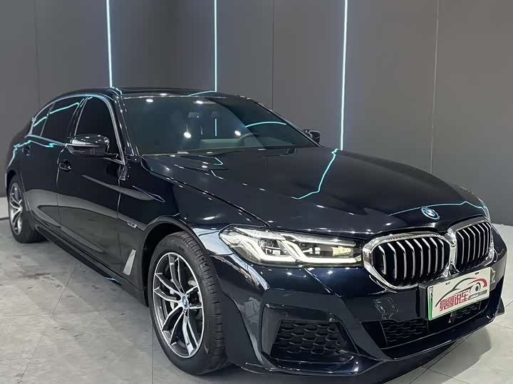 Фото 3 - BMW 5 Series Hybrid