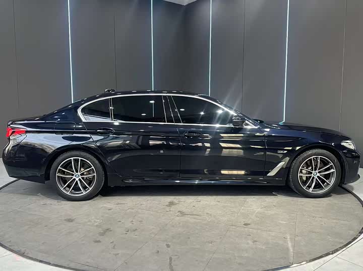 Фото 5 - BMW 5 Series Hybrid