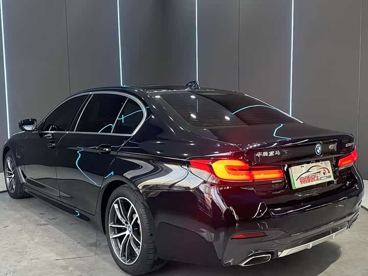 Фото 8 - BMW 5 Series Hybrid