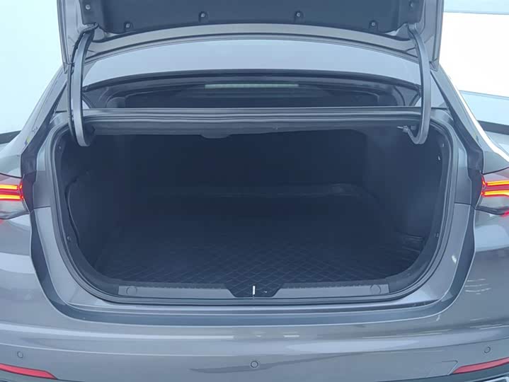 Фото 4 - GAC Trumpchi Empow R