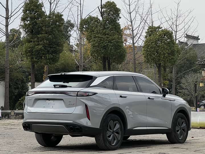 Фото 4 - Exeed RX