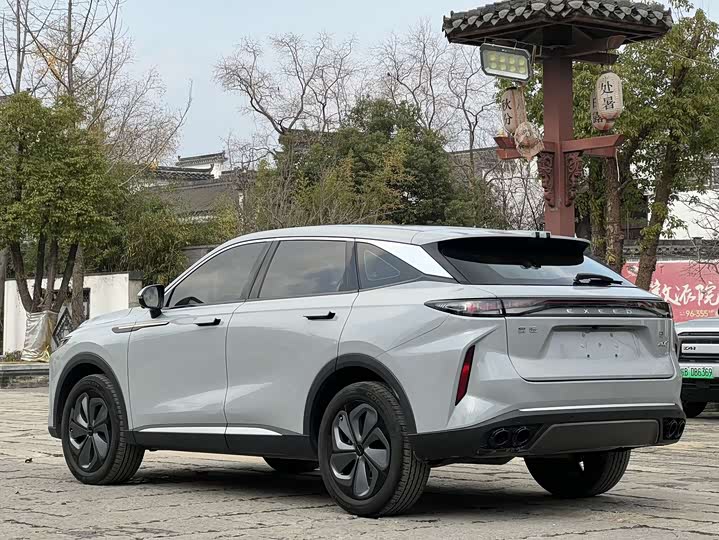 Фото 6 - Exeed RX