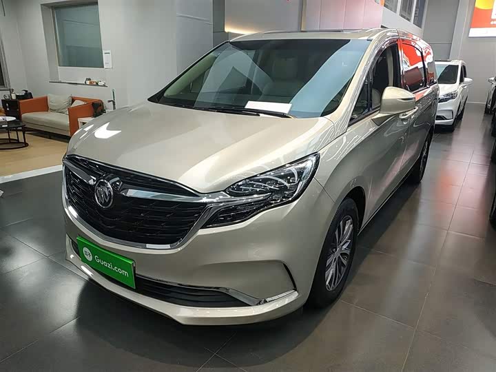 Фото 1 - Buick GL8 ES