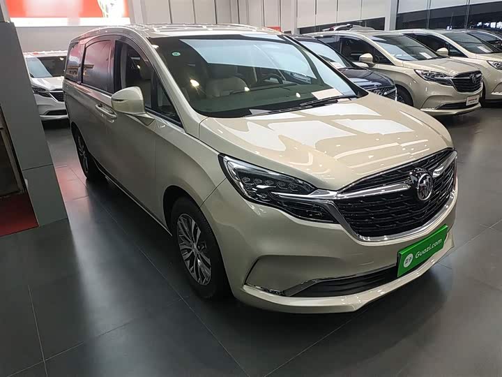 Фото 4 - Buick GL8 ES