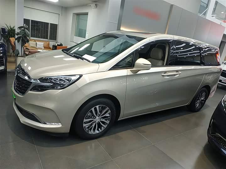 Фото 5 - Buick GL8 ES