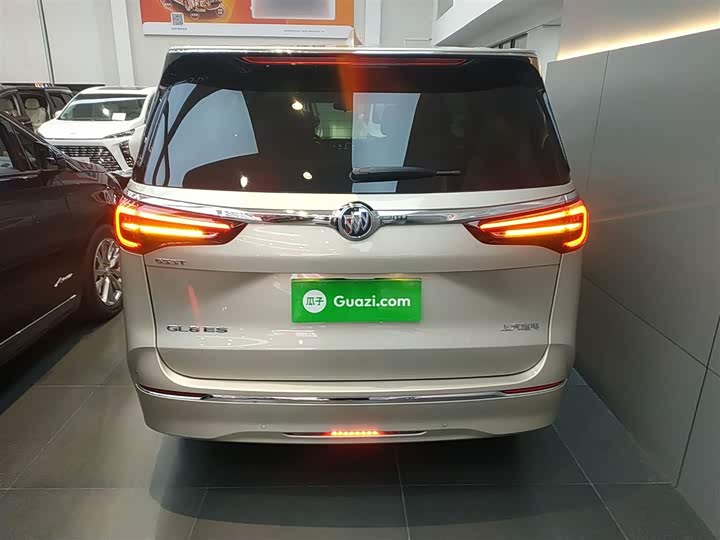 Фото 6 - Buick GL8 ES