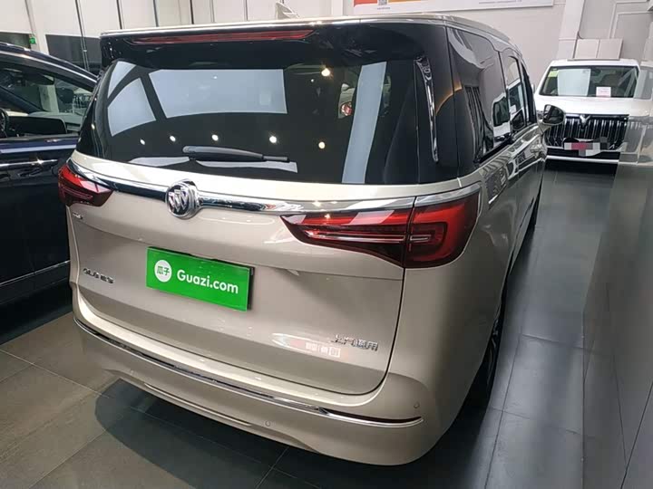 Фото 7 - Buick GL8 ES