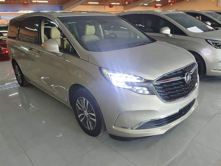 Фото 4 - Buick GL8 ES