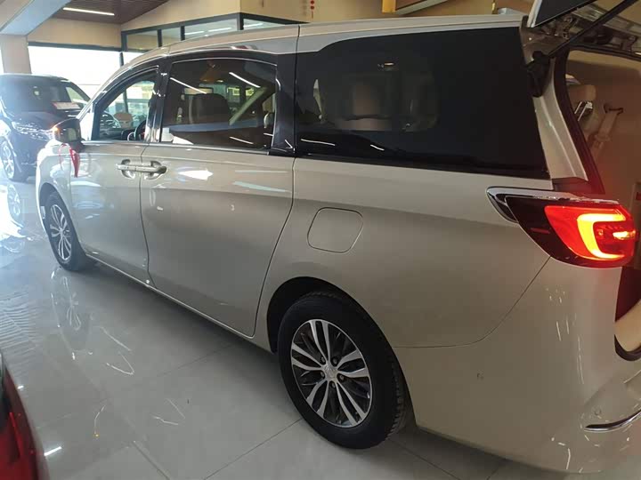 Фото 5 - Buick GL8 ES