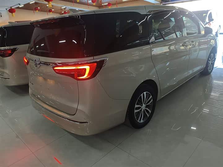 Фото 7 - Buick GL8 ES