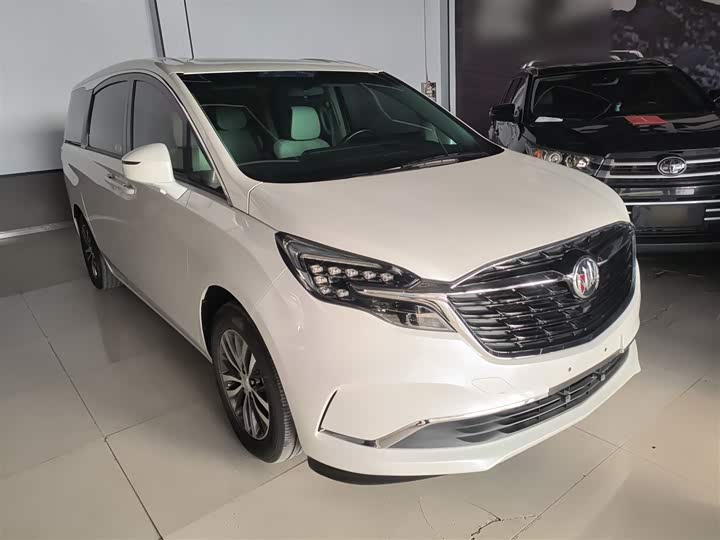 Фото 4 - Buick GL8 ES