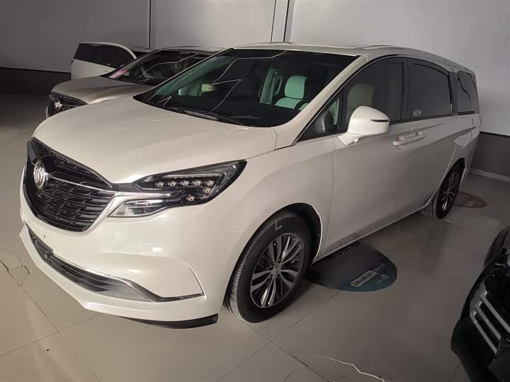 Фото 5 - Buick GL8 ES