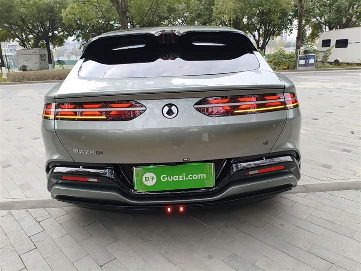 Фото 6 - Denza Z9GT