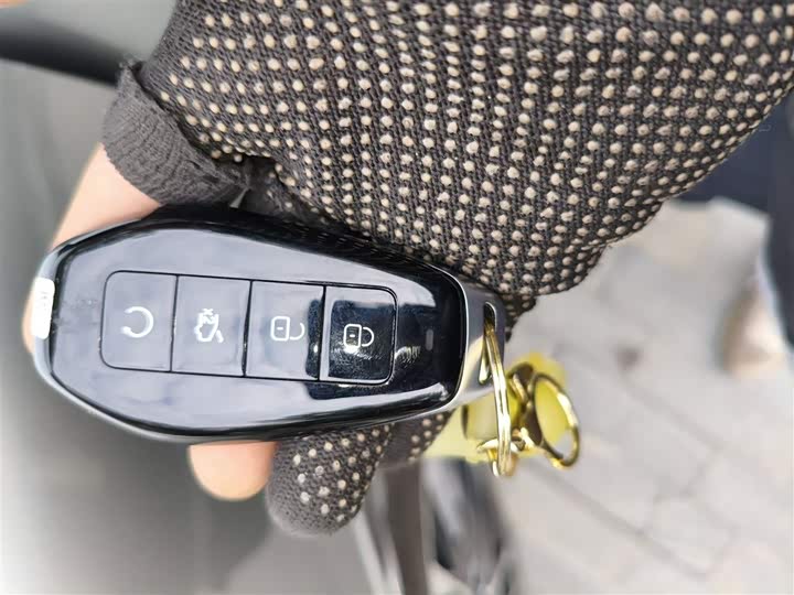 Фото 9 - Denza Z9GT