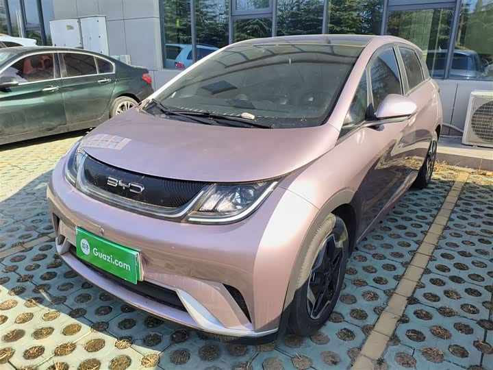 Фото 2 - BYD Dolphin