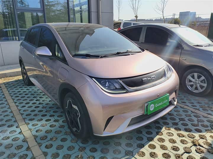 Фото 4 - BYD Dolphin