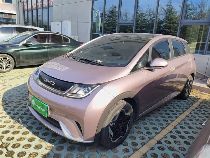 Фото 5 - BYD Dolphin