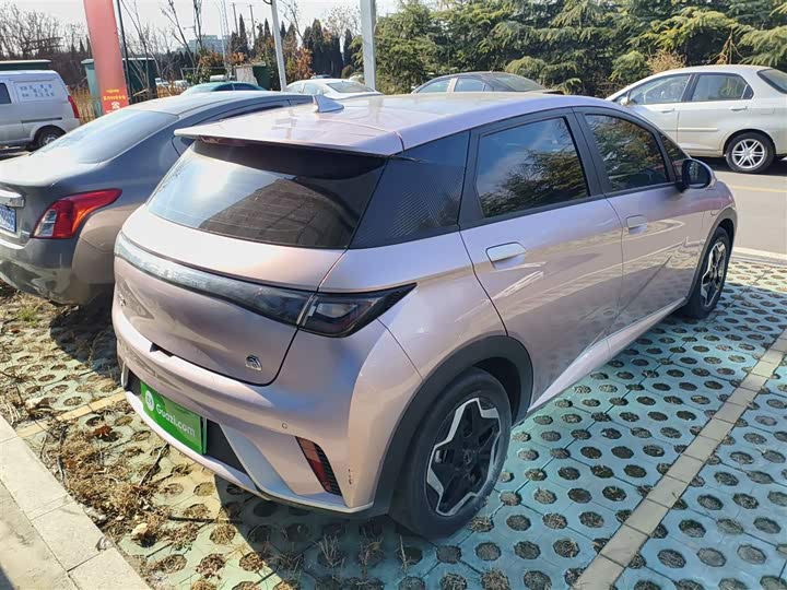 Фото 7 - BYD Dolphin