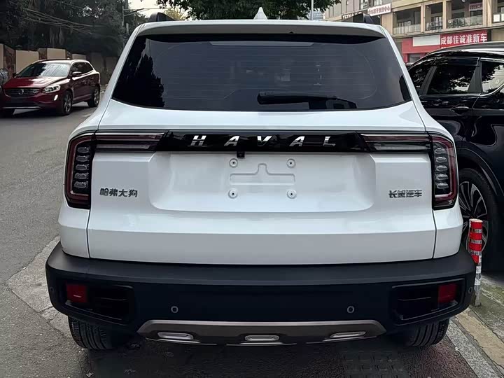 Фото 7 - Haval Dargo