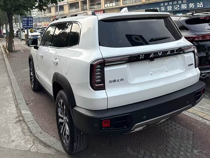 Фото 8 - Haval Dargo