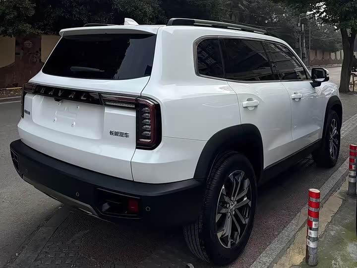 Фото 9 - Haval Dargo