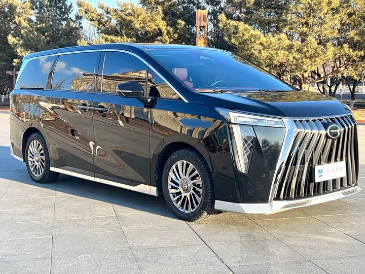 Фото 3 - GAC Trumpchi M8