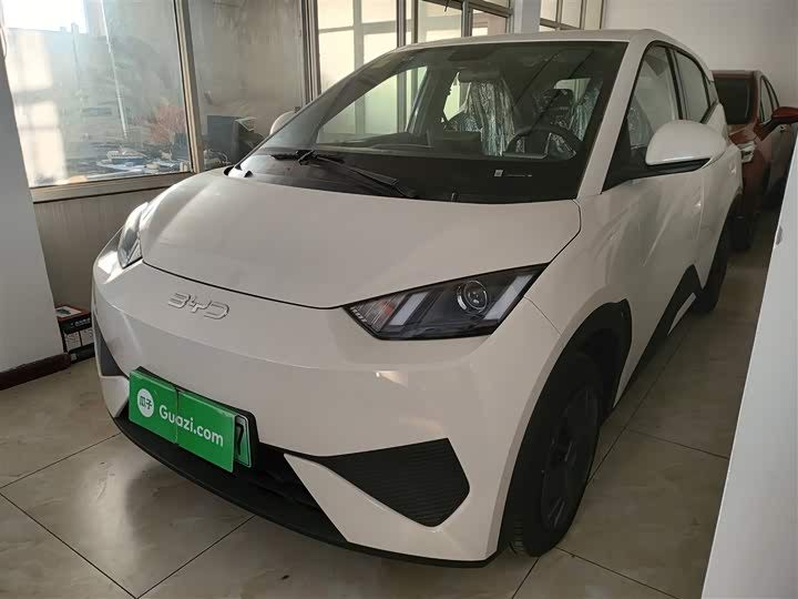 Фото 1 - BYD Seagull