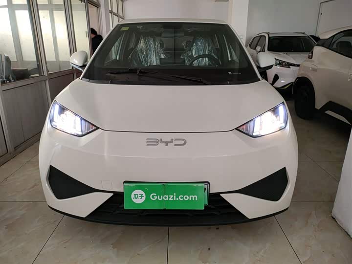 Фото 3 - BYD Seagull