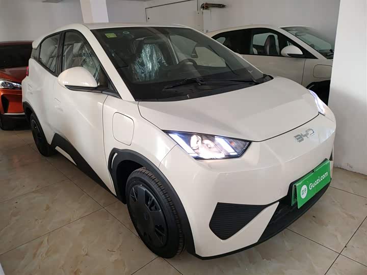 Фото 4 - BYD Seagull