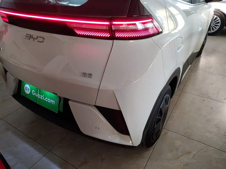 Фото 8 - BYD Seagull