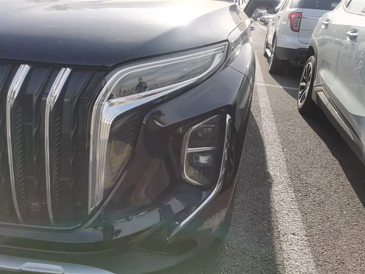 Фото 5 - Hongqi HS7 Hybrid