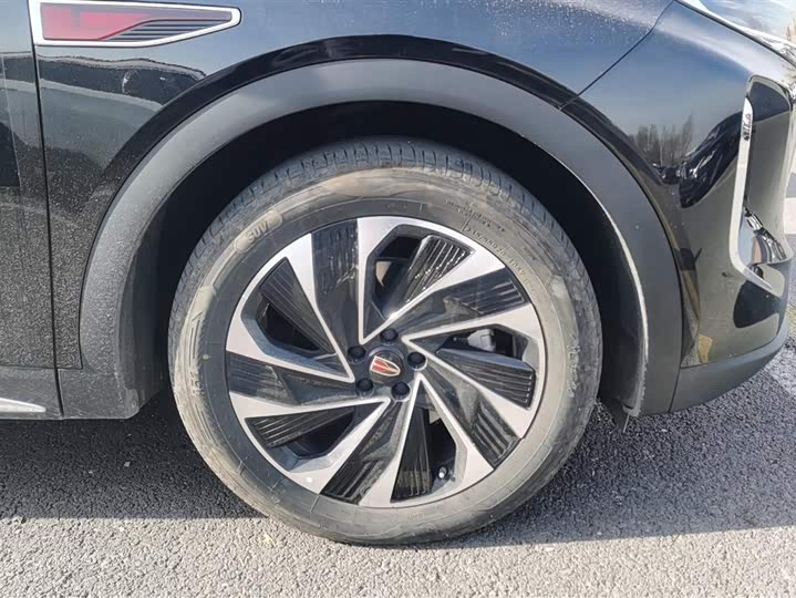 Фото 6 - Hongqi HS7 Hybrid