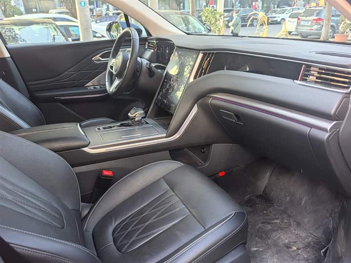 Фото 9 - Hongqi HS7 Hybrid