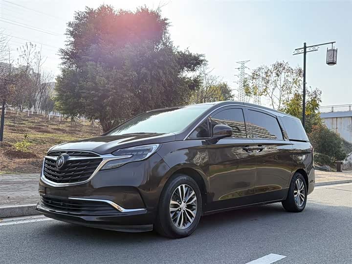 Фото 1 - Buick GL8 ES