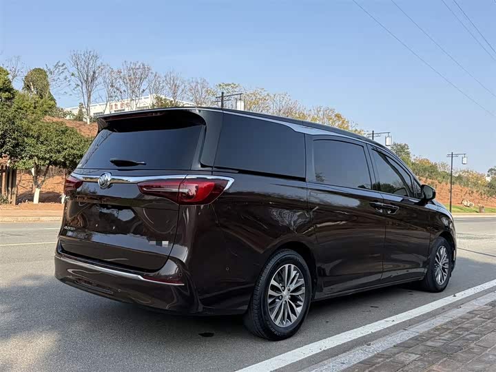 Фото 4 - Buick GL8 ES