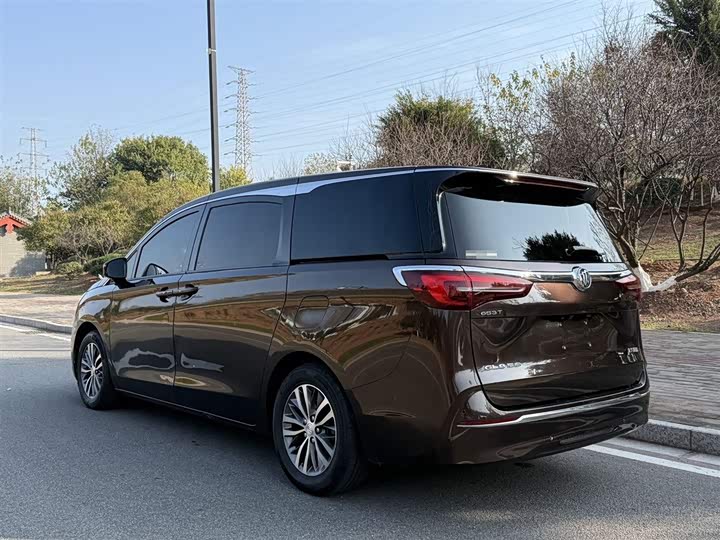 Фото 6 - Buick GL8 ES